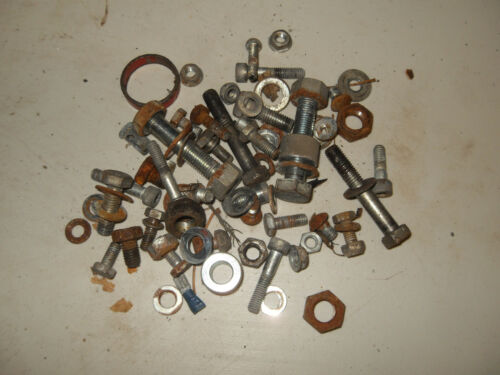 1978 Rizzato Califfo Moped - Misc. Hardware Nuts Bolts etc